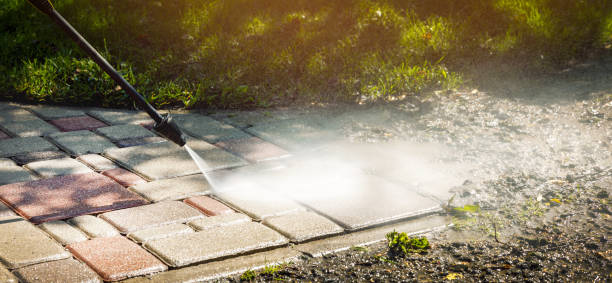 Best Roof Washing  in Hazelwood, MO